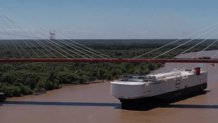 VIDEO | Llegó a Argentina el colosal buque con cerca de 7.000 autos chinos, entre ellos un nuevo SUV