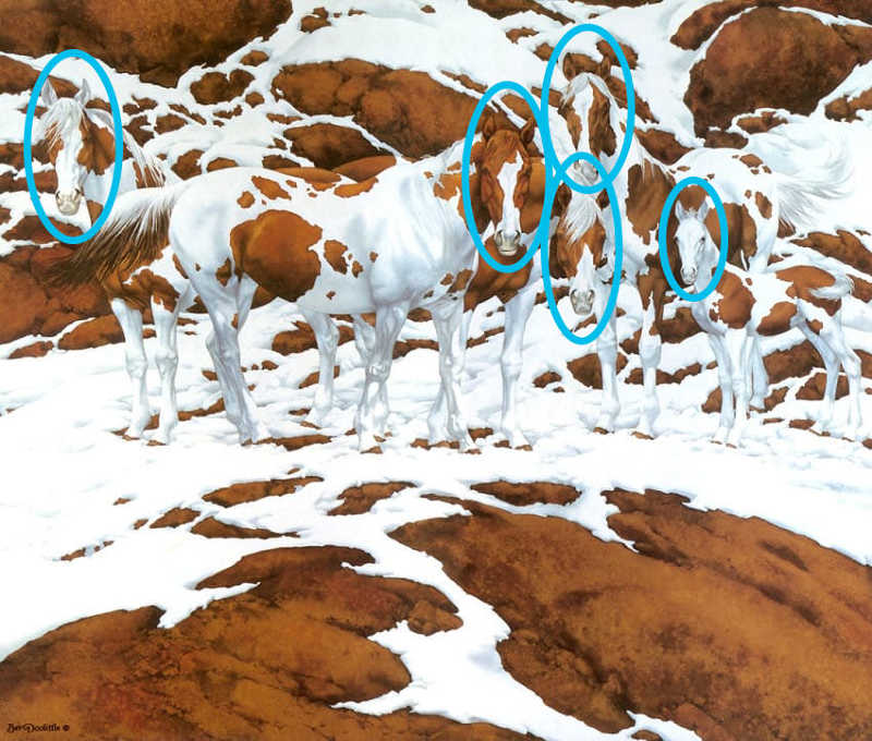 Este es el resultado de la primera imagen del test