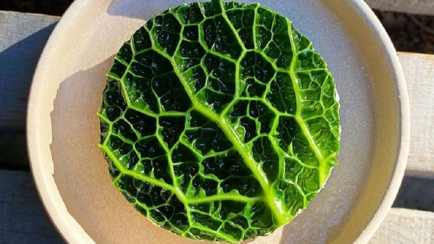 Ensalada Waldorf de Julio Báez en el restaurante Julia.