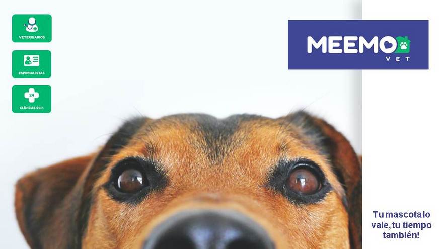 Los socios llevan invertidos más de u$s36.000 y ahora buscan inversores para potenciar el negocio