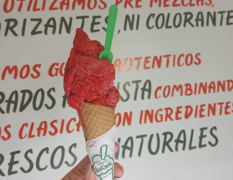 La ciruela es uno de los gustos preferidos del verano: ácido, refrescante y súper sabroso.