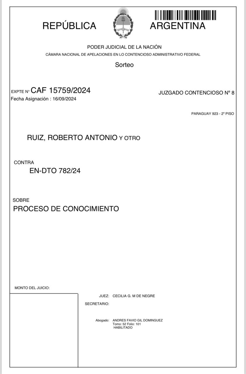 El pedido de inconstitucionalidad fue presentado ante 