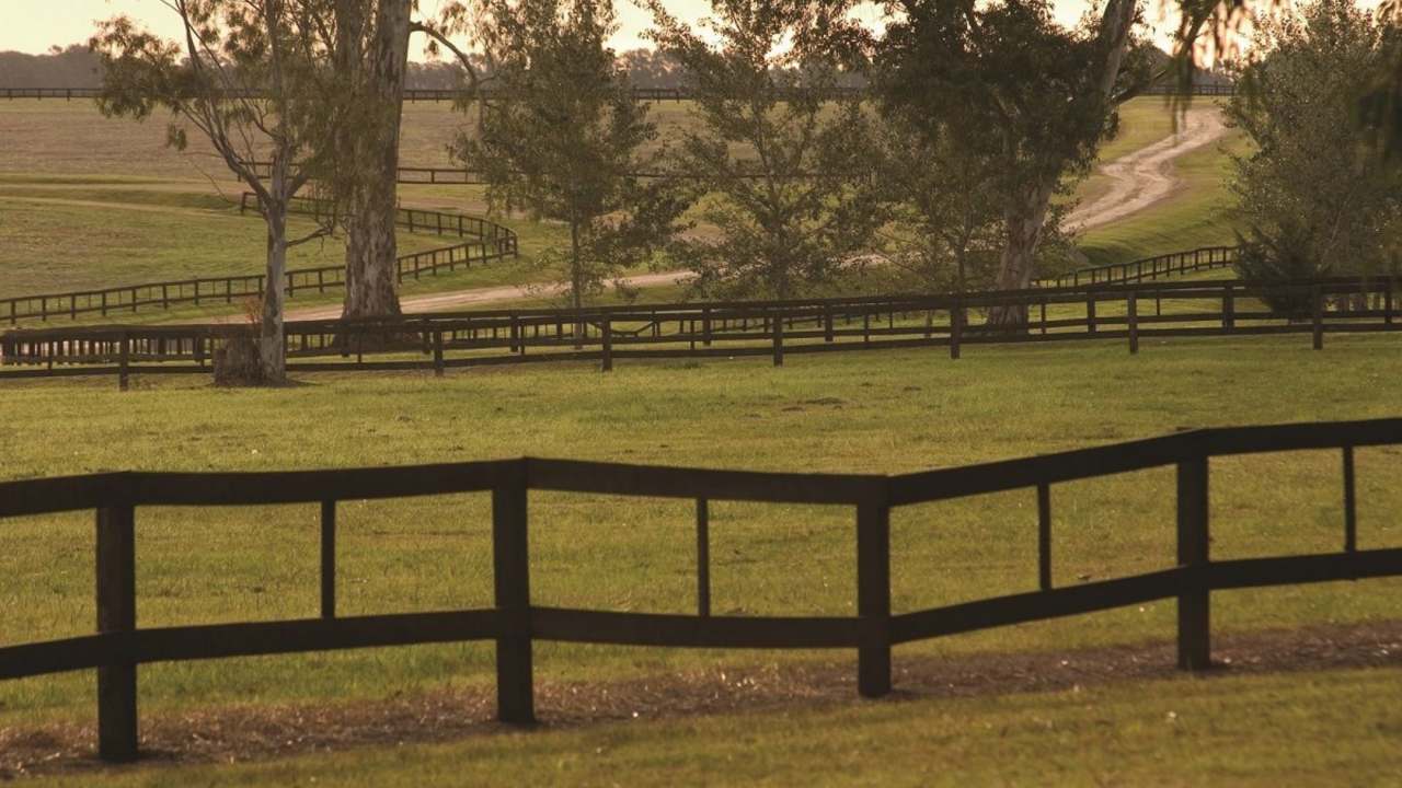 En Baradero se subastan terrenos rurales de hasta 27.000 m² desde u$s33.700