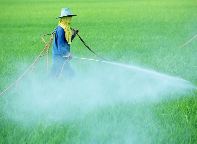 Argentina envenenada: proliferan el cáncer y las malformaciones por el uso de químicos en alimentos