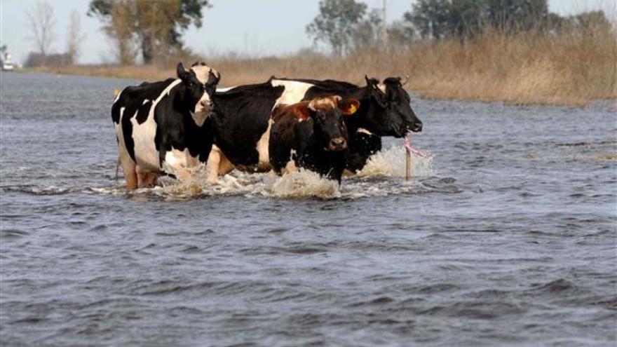 Nostradamus augura grandes catástrofes ambientales con consecuencias gravísimas para el planeta