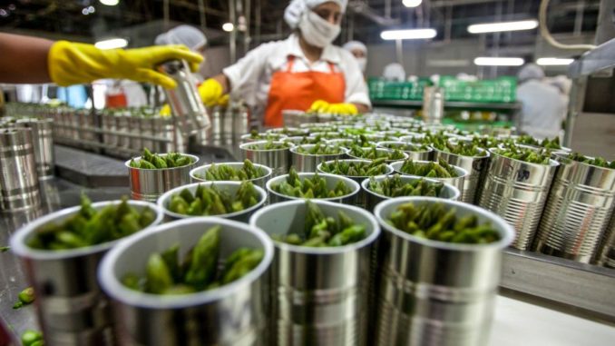La agroindustria es el principal complejo exportador de la Argentina