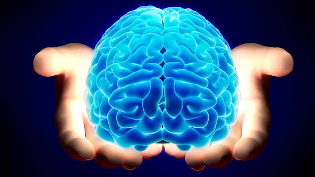 ¿Qué es la estimulación cognitiva y por qué puede mejorar tu salud?