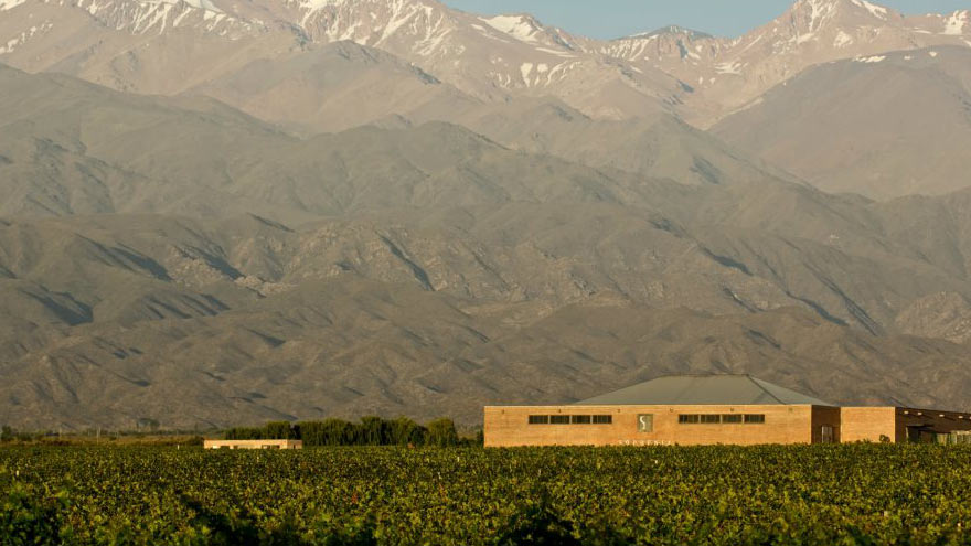 Vinos y medioambiente: Finca Sophenia ya es bodega sustentable