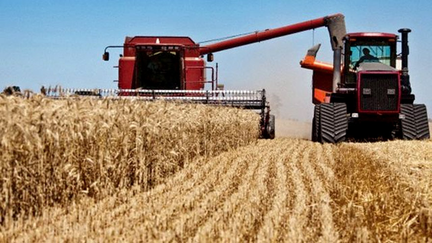 En las zonas bajo control del agronegocio señalan que el faltante comenzó hace al menos 4 meses.