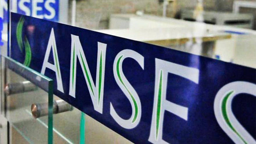 ANSES: paso a paso, cómo solicitar un crédito a tasa preferencial con la Asignación Universal por Hijo