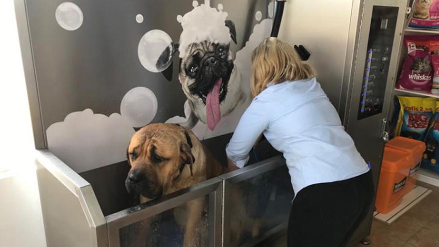 Científicos analizan qué hacer con las mascotas.