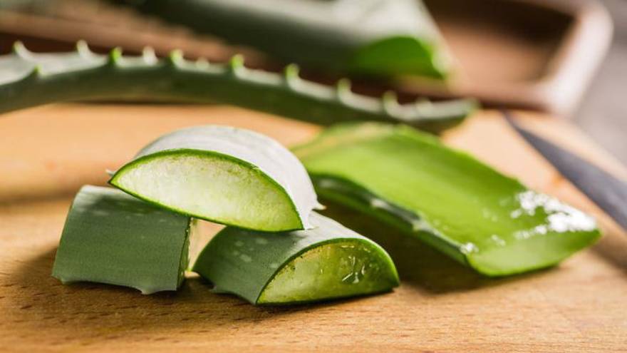 Aplicar aloe vera ha demostrado ser bueno para disminuir el dolor