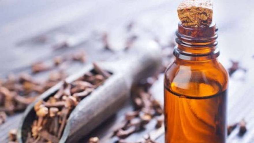 Aceite de clavo, un remedio poco común pero efectivo para las llagas