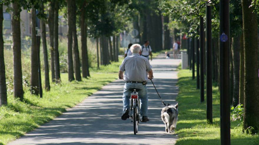 Los adultos mayores también deben llevar una vida activa