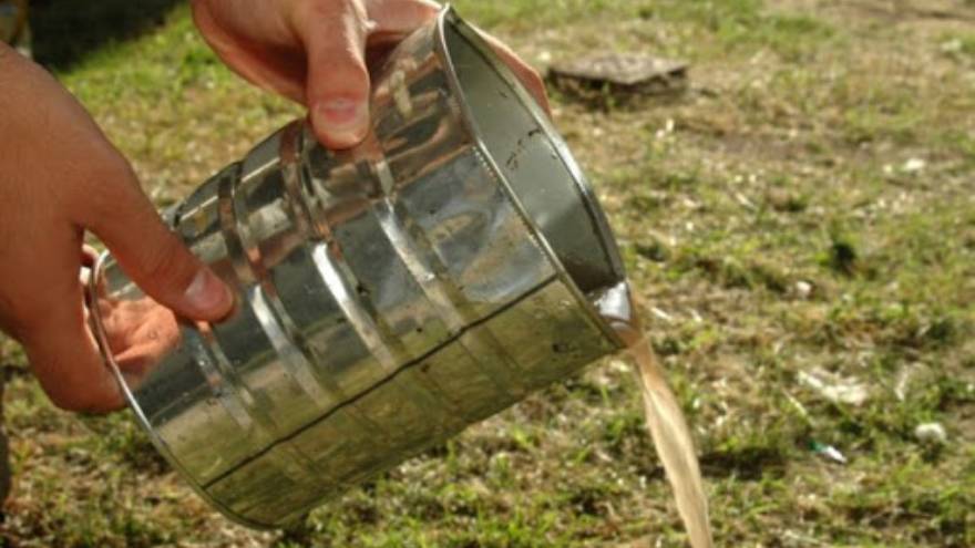 Para evitar que se críe el mosquito es importante eliminar el agua estancada