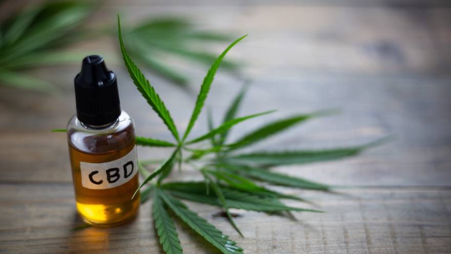Desde Córdoba afirman que el cannabis tiene
