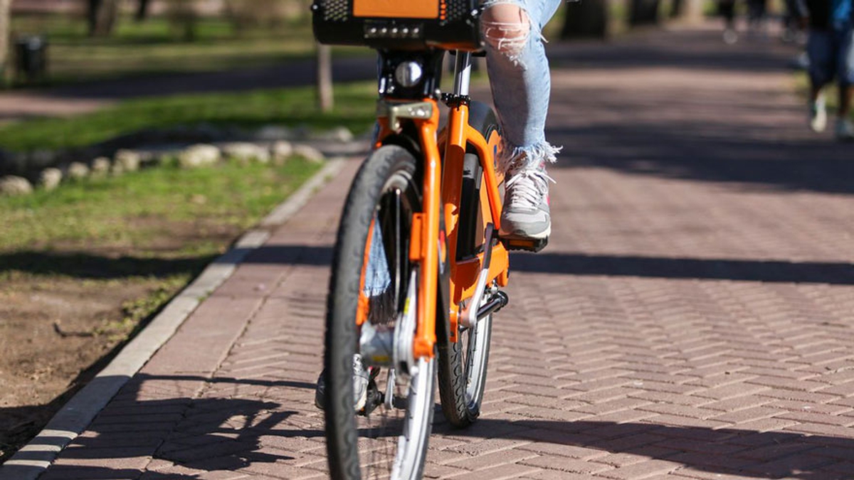 Vuelven al ruedo las bicicletas porteñas