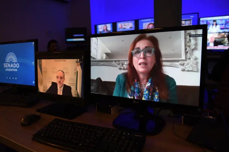 La fiscal Gabriela Boquín expuso la semana pasada en el Senado