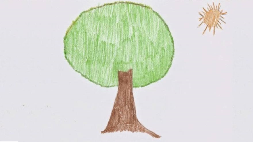 La forma en que las personas dibujan el árbol dice mucho sobre la personalidad