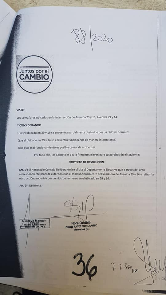 El pedido de Juntos por el Cambio para sacar el nido del hornero