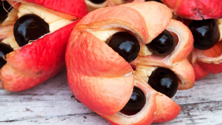 Esta es ta fruta ackee