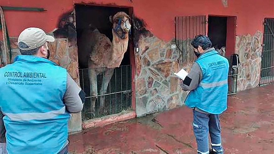 El zoológico de Luján falló en cumplir los requerimientos oficiales para su funcionamiento.