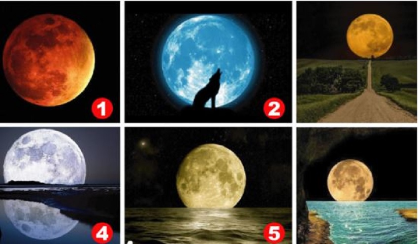 ¿Qué luna elegís?
