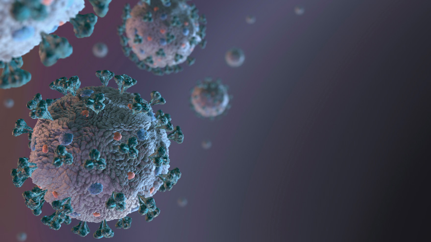 El coronavirus no da tregua en la provincia de Salta.