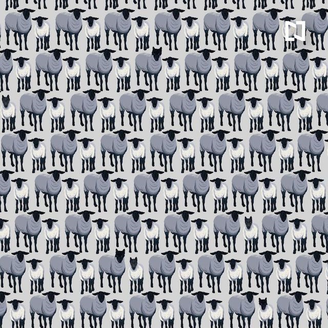 La imagen completa con lobos y ovejas.