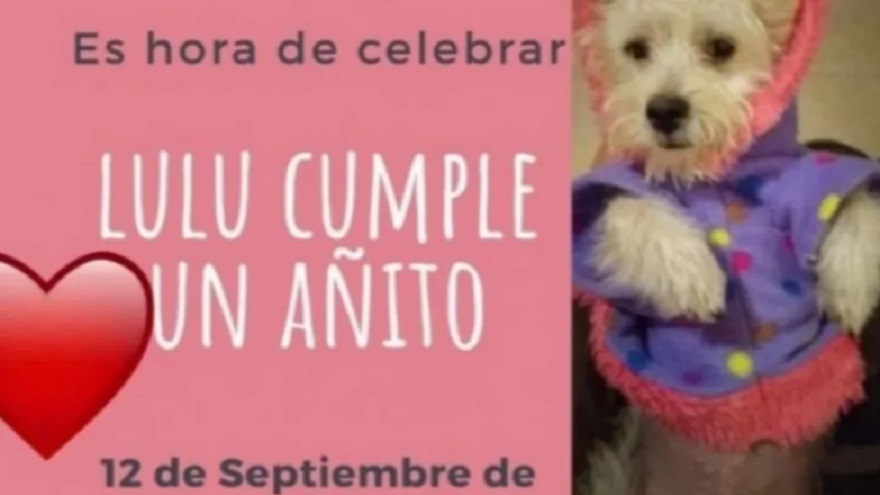 La invitación para el cumpleaños de Lulu