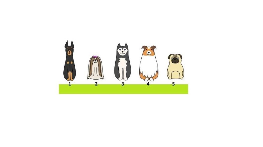 El perro que elijas hablará sobre tus valores.