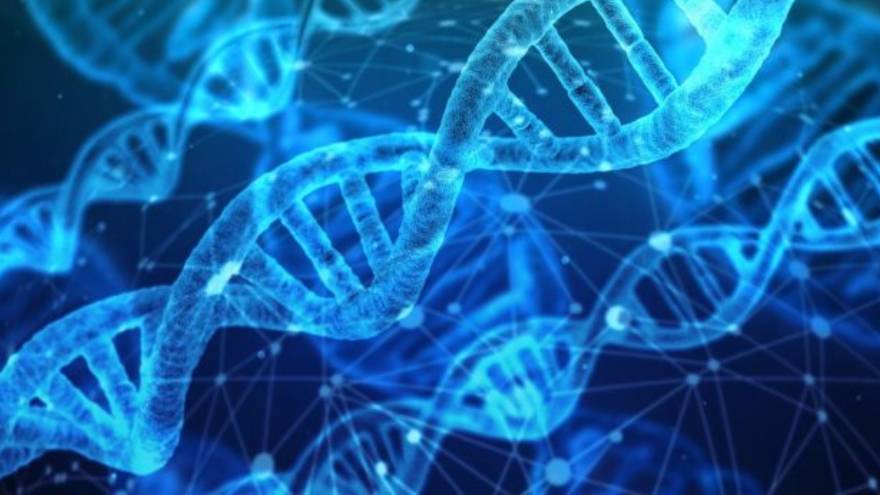 La enfermedad aparecería por una mutación genética