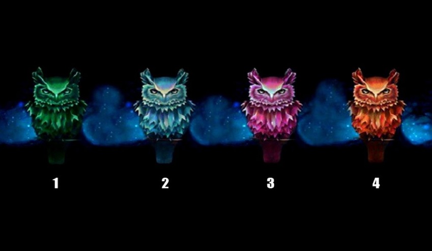 Test: el búho que elijas revelará secretos de tu personalidad