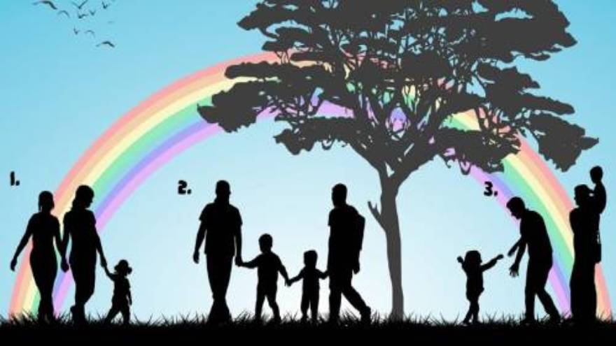 Elegí qué familia te parece que es más feliz