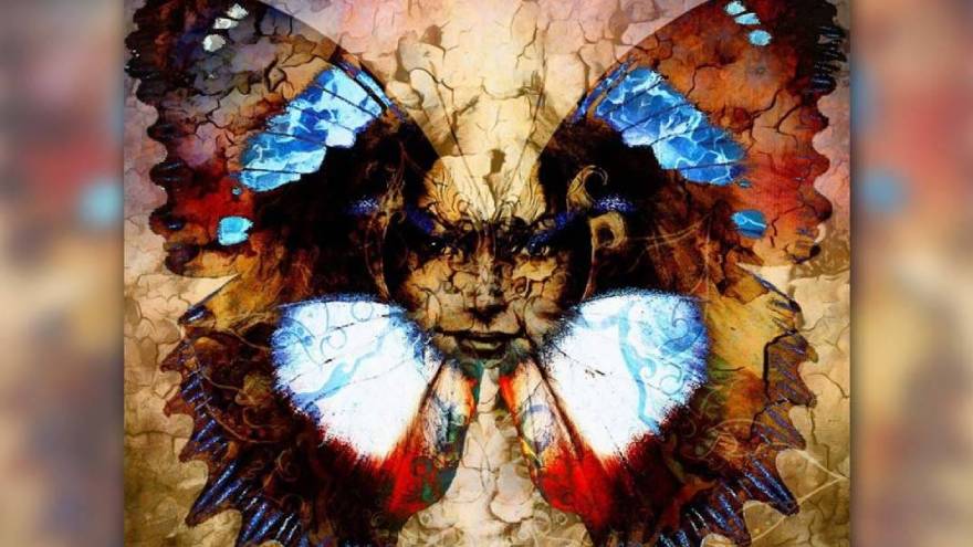 La imagen para conocer los resultados del test