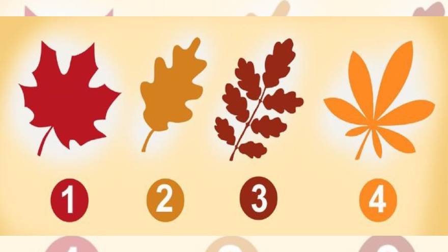 El test de las hojas