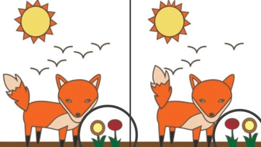 El error de las flores