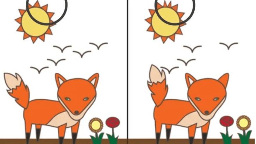 El error del sol