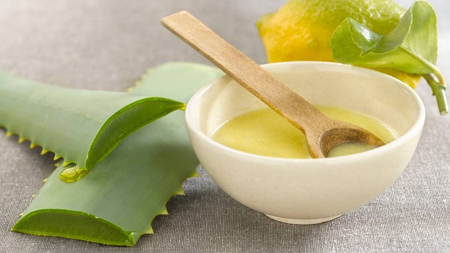 Aloe vera, también útil para la cocina.