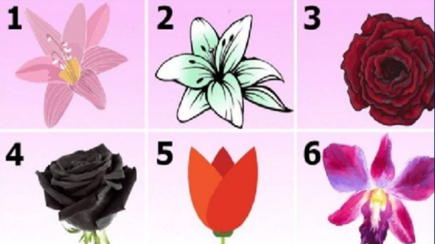 Elegí una de las flores y leé los resultados