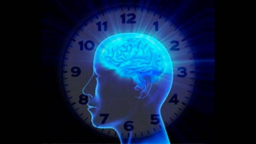 El ritmo circadiano hace referencia a los ciclos biológicos de cada persona