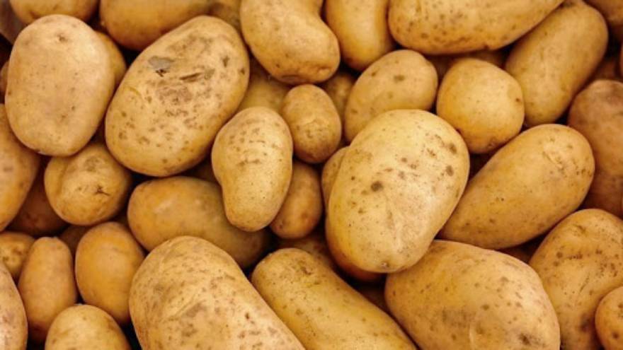 Las papas, obviamente, son el ingrediente central de la tortilla de papas