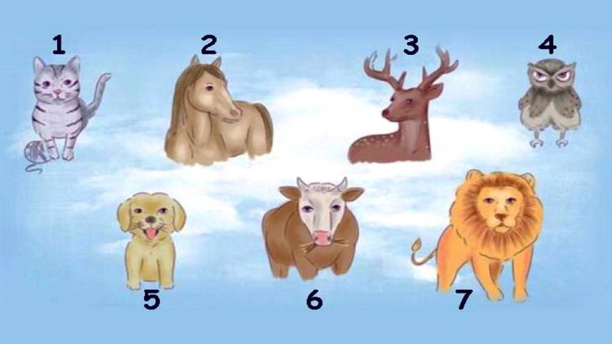 La imagen para resolver el test