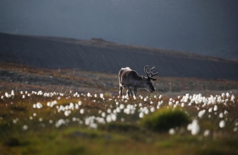 Longyearbenyen alberga, desde 2008, el Santo Grial que posibilita la existencia de la vida humana: