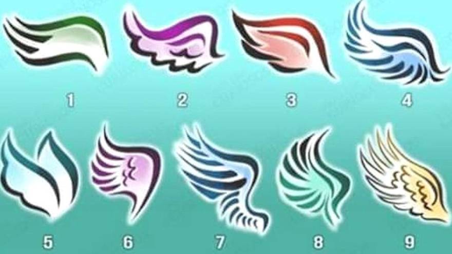 Las alas para elegir en el test