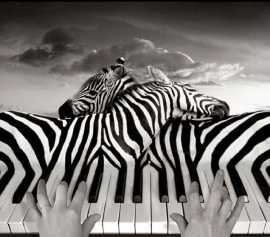 Cebras o piano: ¿qué viste primero?
