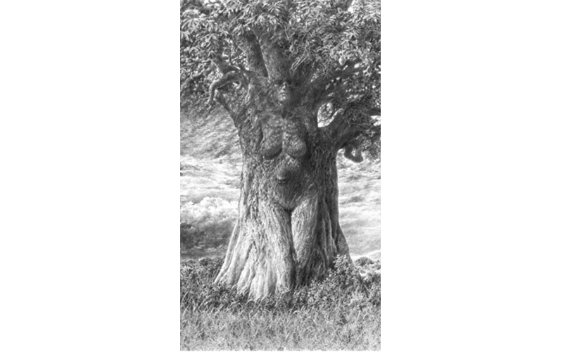 ¿Qué ves primero: un árbol, una mujer o un paisaje?