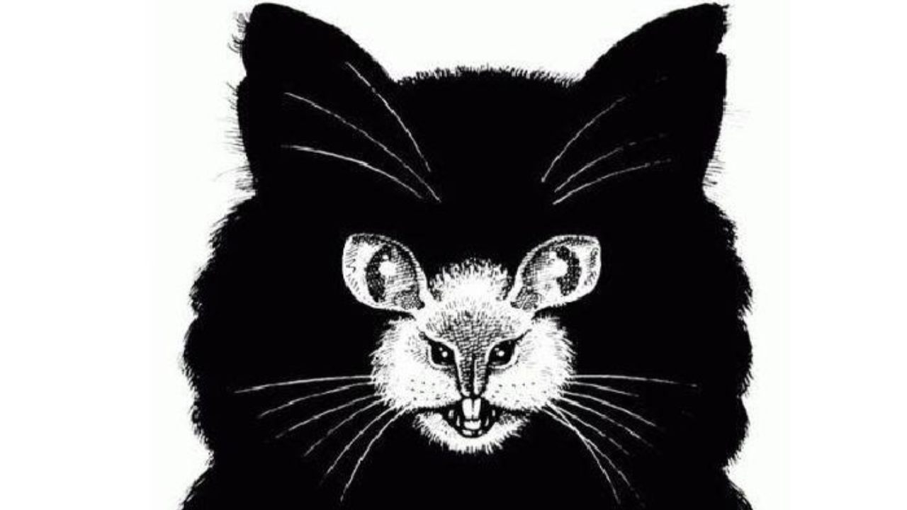 ¿Qué viste primero: el gato negro o el ratón blanco?