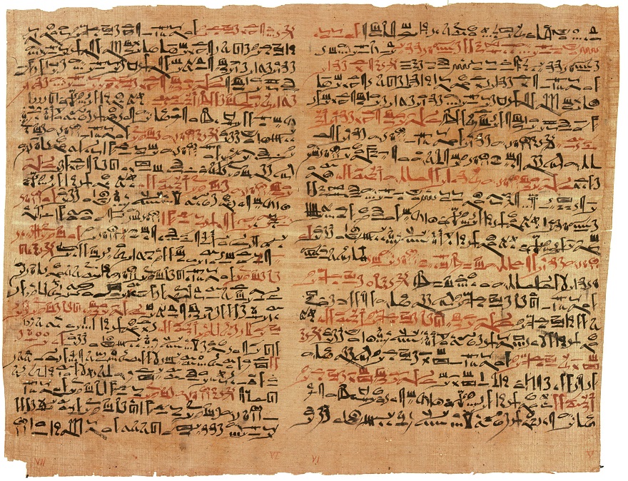 Un papiro egipcio de hace 3.500 años hablaba sobre la colchicina