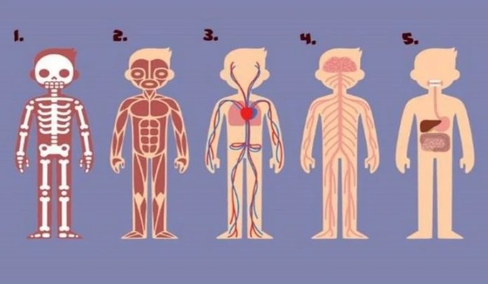 La parte del cuerpo que elijas definirá cómo eres y qué deberías cambiar en tu vida